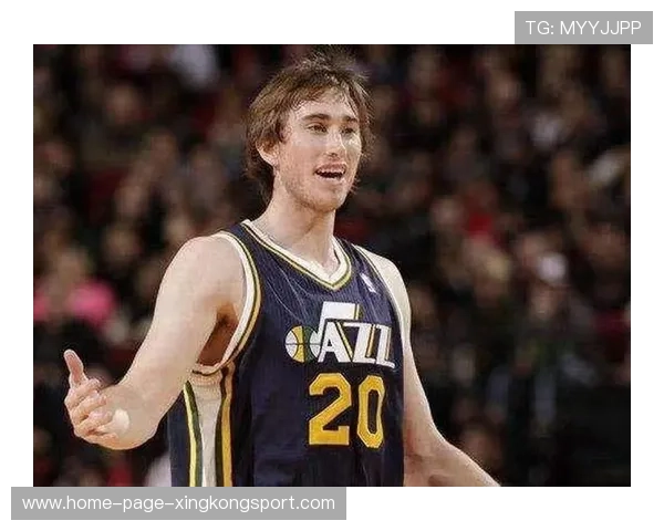 海沃德冷静串联,黄蜂反扑见效