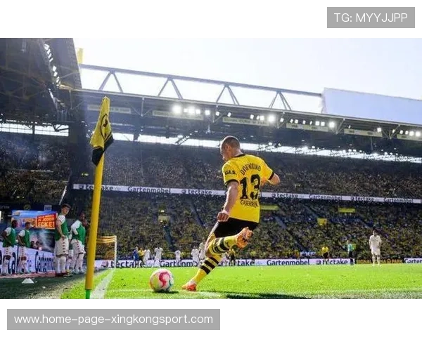 阿森纳购入战术适配手