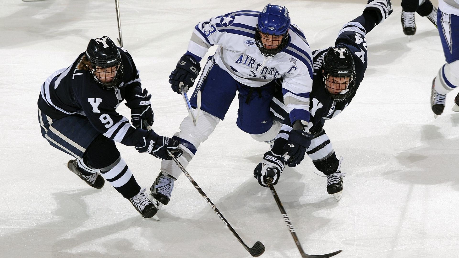 NBA最新赛季动态分析